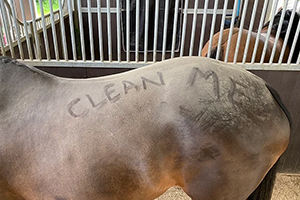 Preparing Your Horse’s Coat for Clipping – By Niki Baxter